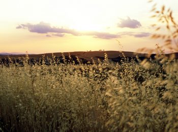 01-val-d'orcia-gallery