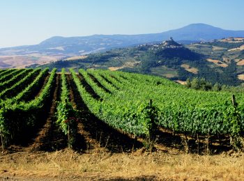 02-val-d'orcia-gallery