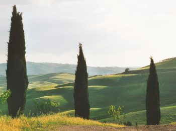 03-val-d'orcia-gallery