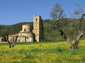 05-val-d'orcia-gallery