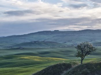 16-val-d'orcia-gallery