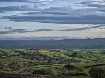 17-val-d'orcia-gallery