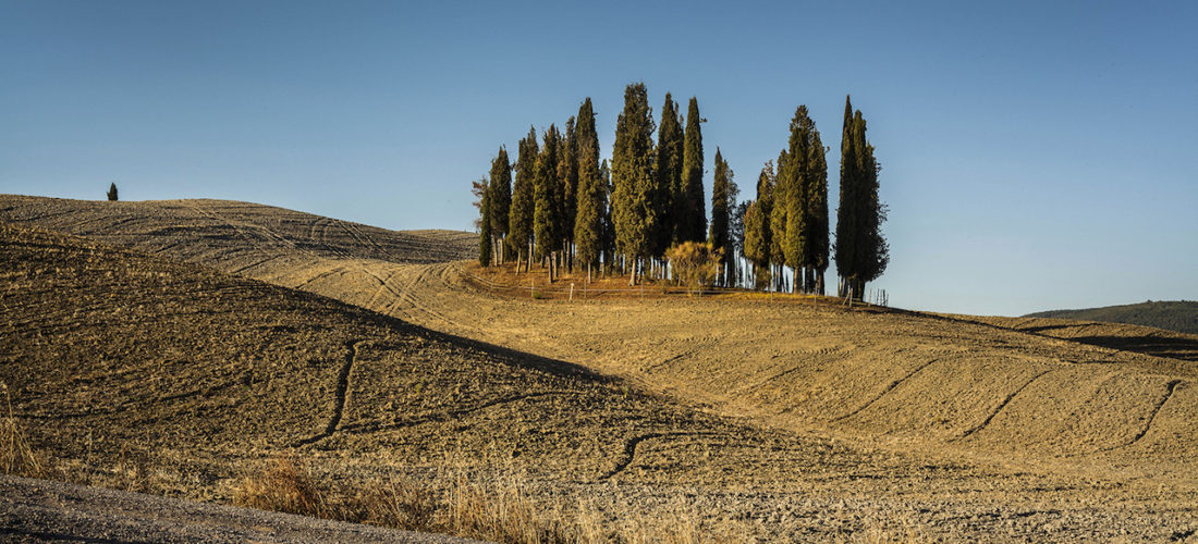 133_luglio_san_quirico_d'orcia_cipressini_mario_llorca