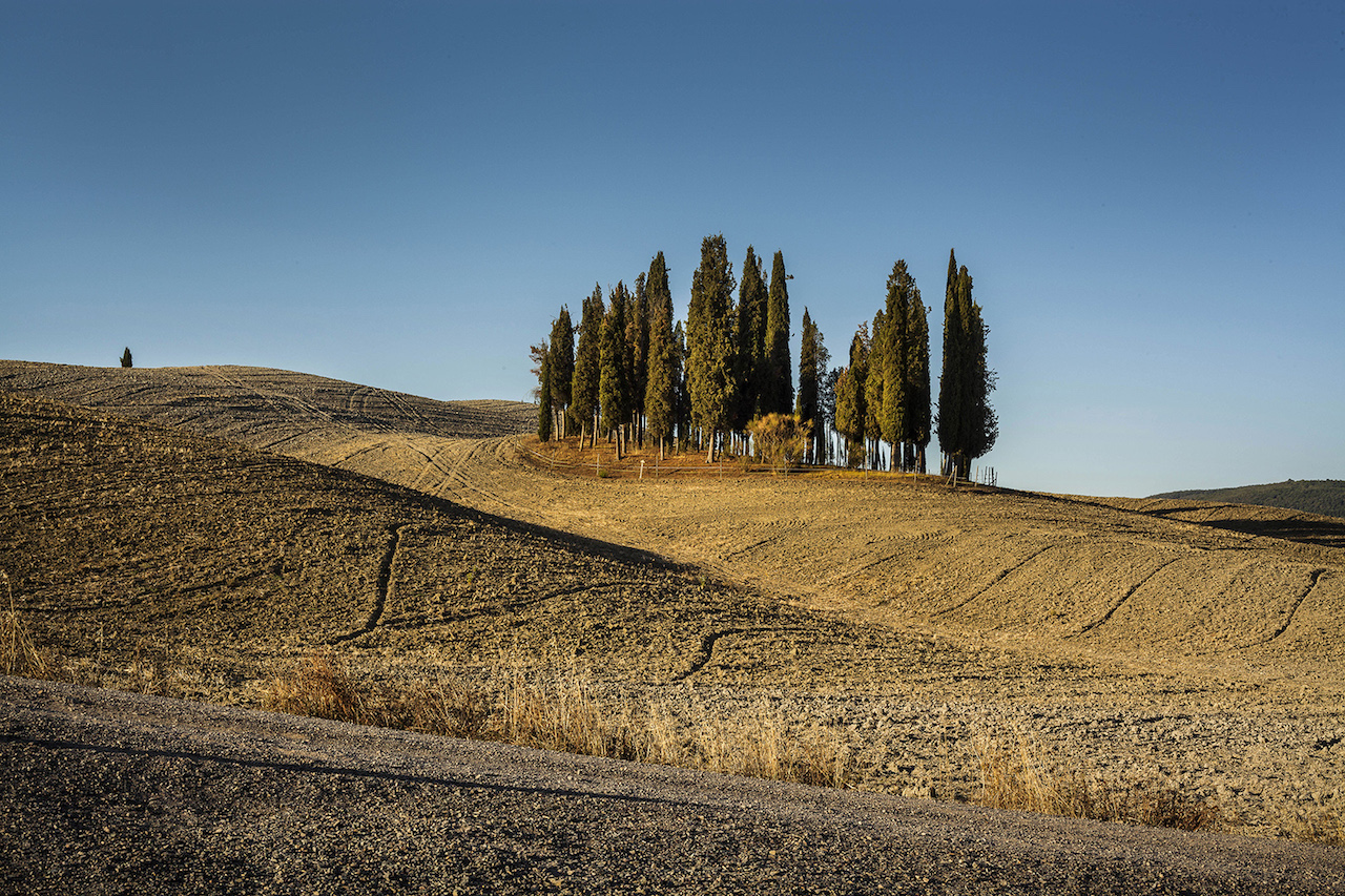 133_luglio_san_quirico_d'orcia_cipressini_mario_llorca