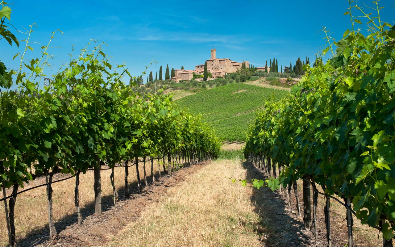 2017_Montalcino_Castello_poggio_alle _mura_Banfi@free_low