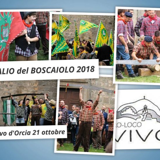 Palio del boscaiolo- Parco della Val d'Orcia