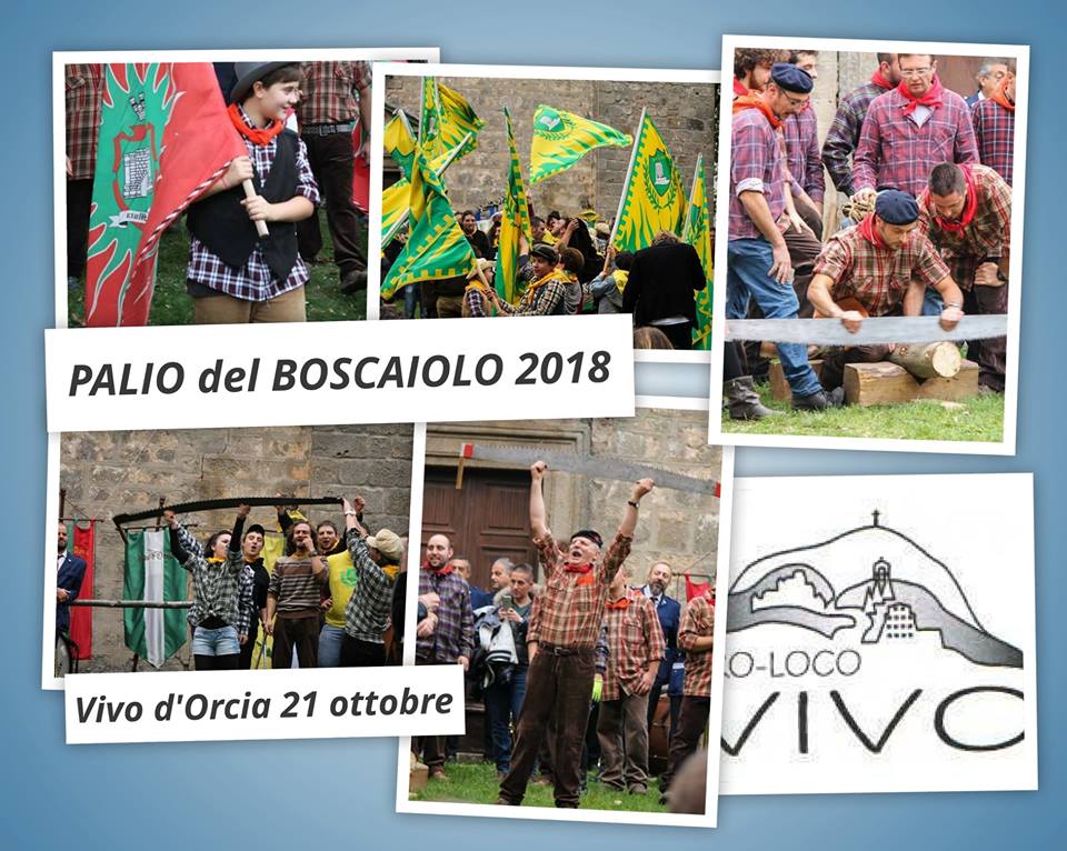 Palio del boscaiolo- Parco della Val d'Orcia